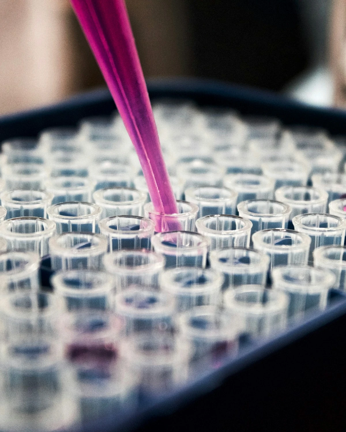 Pharmaceutical-grade DNA processing