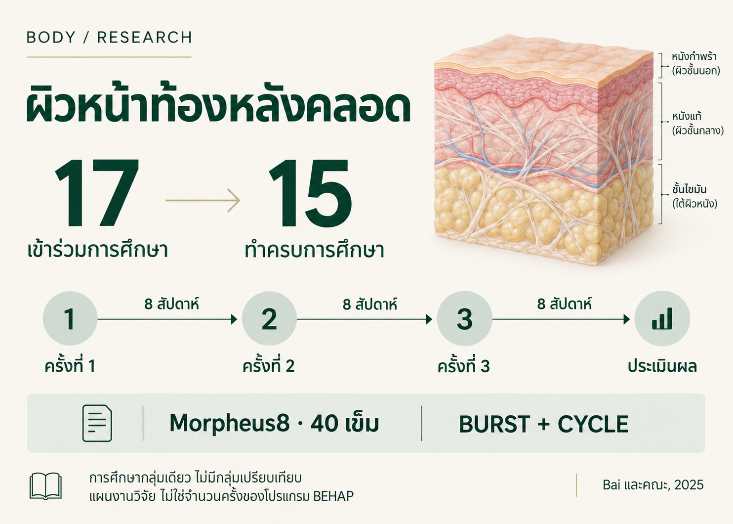 ภาพสรุปการศึกษาผิวหน้าท้องหลังคลอดพร้อมภาพชั้นผิวจำลอง: เข้าร่วม 17 คน ทำครบ 15 คน รักษา 3 ครั้งห่างกัน 8 สัปดาห์ และประเมินหลังครั้งสุดท้าย 8 สัปดาห์