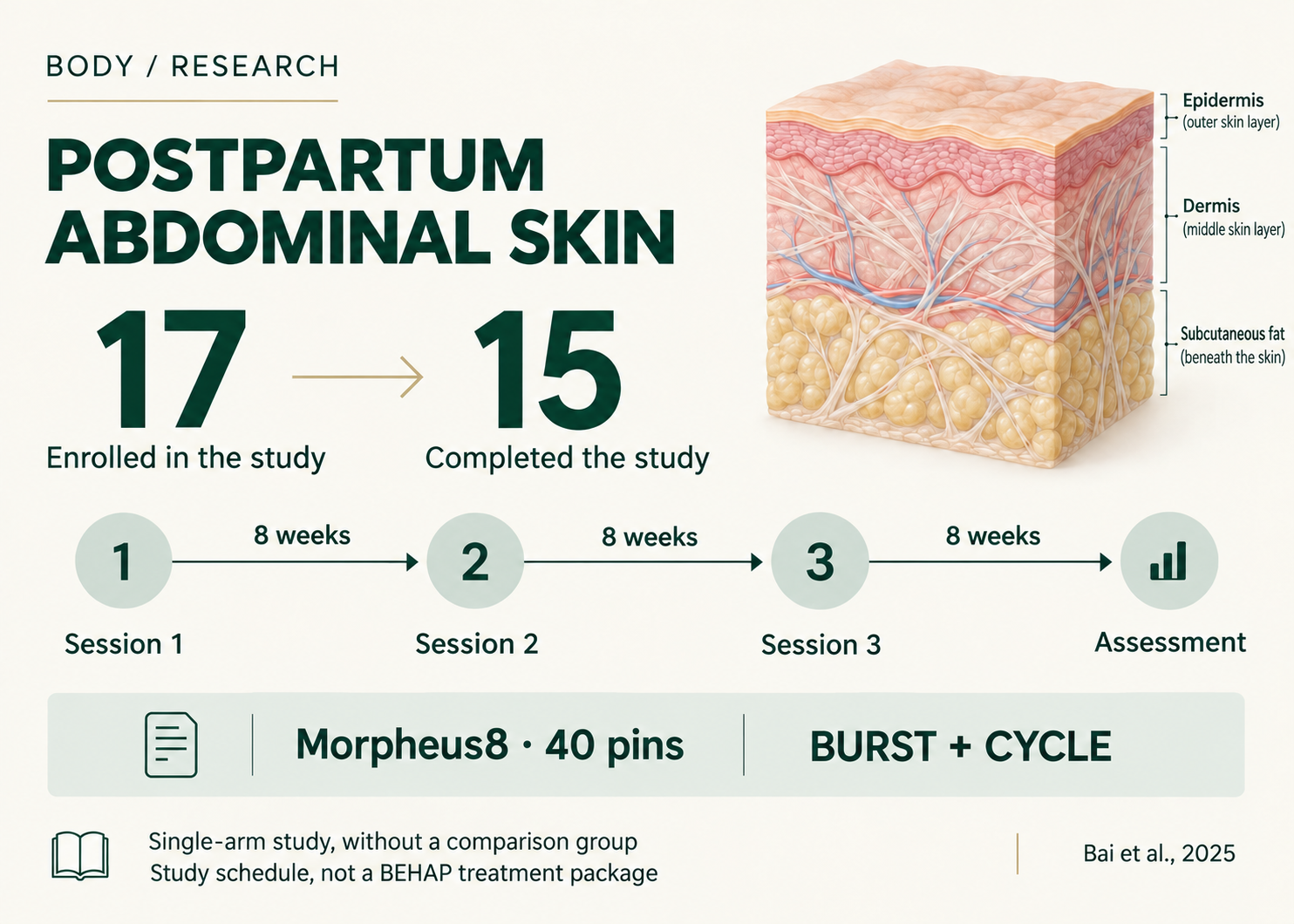 Postpartum abdominal skin study summary with an illustrative skin section: 17 enrolled, 15 completed, three treatments eight weeks apart, with assessment eight weeks after the final treatment.