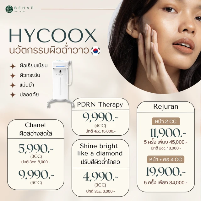 อาร์ตเวิร์กจากบทความ HYCOOX เดิม ภาพที่ 5: โปรแกรมและราคา