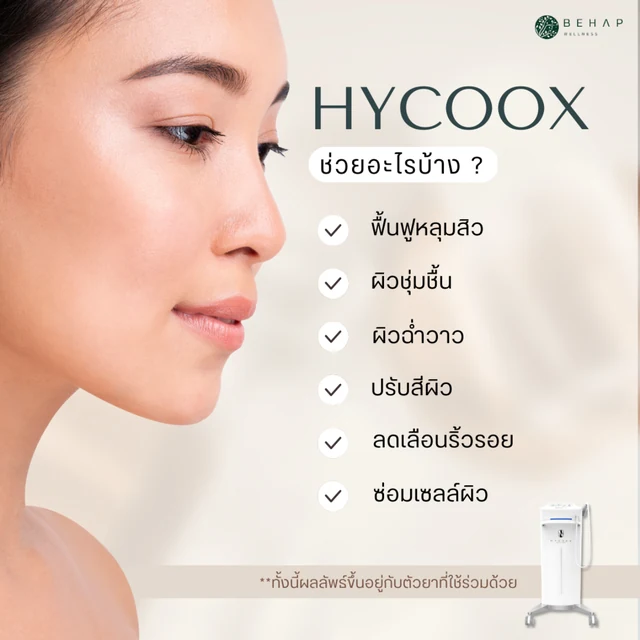 อาร์ตเวิร์กจากบทความ HYCOOX เดิม ภาพที่ 4: เรื่องผิวและสารที่เลือก